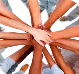 equipe collaborateurs mallet
